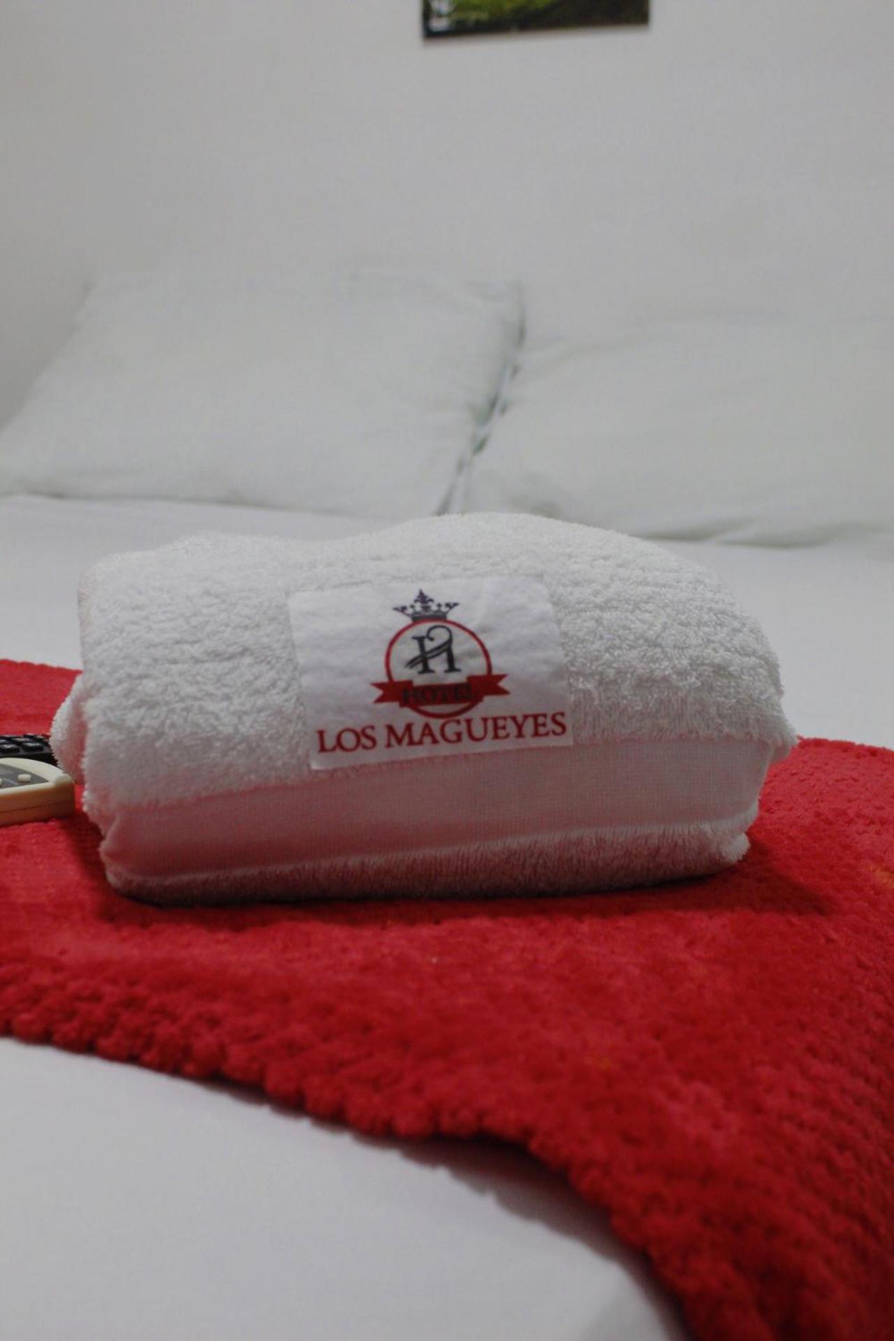 Hotel Los Magueyes Bucaramanga Exterior foto